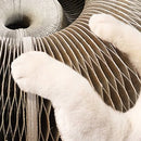 Brinquedo de Arranhar para Gatos - Cat Claw ®